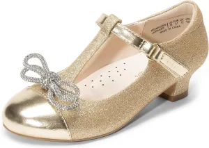 DREAM PAIRS Girls Dress Shoes Mary Jane Heel T-Strap Party Flower Wedding Princess Pumps for Little Big Kid