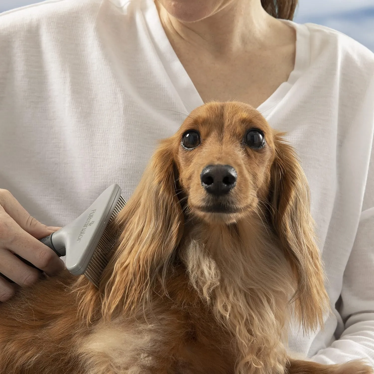 FURminator Grooming Rake for Cats and Dogs
