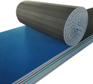 Indoor Gymnastics Tracks Exercise Mat Roll Out Cheerleading Fitness Mats with a Grippy Gym Carpet Top Sturdy Foam Wrestling Mats for MMA, Gymnastics (Size : 3m*1.83m*4cm)